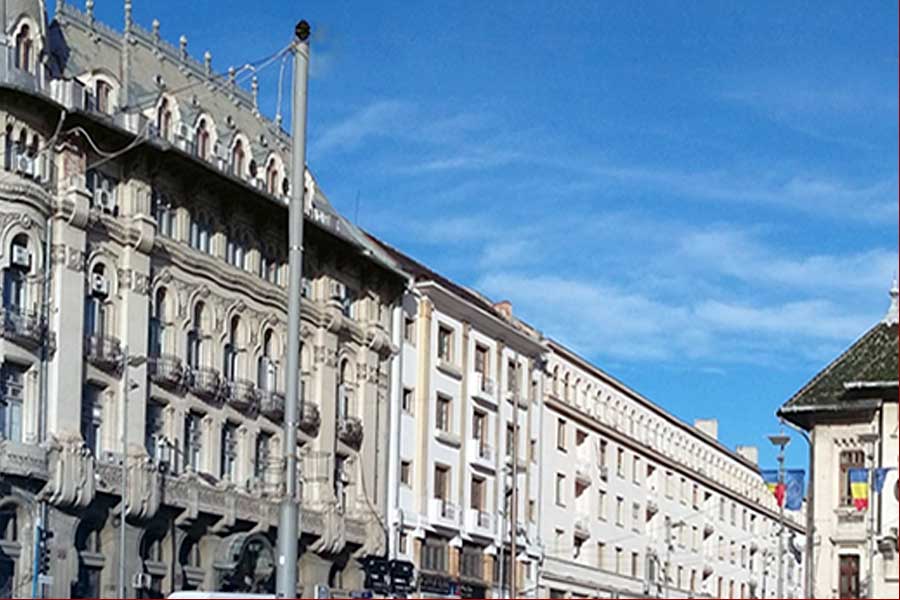 Locaţii care acceptă animale